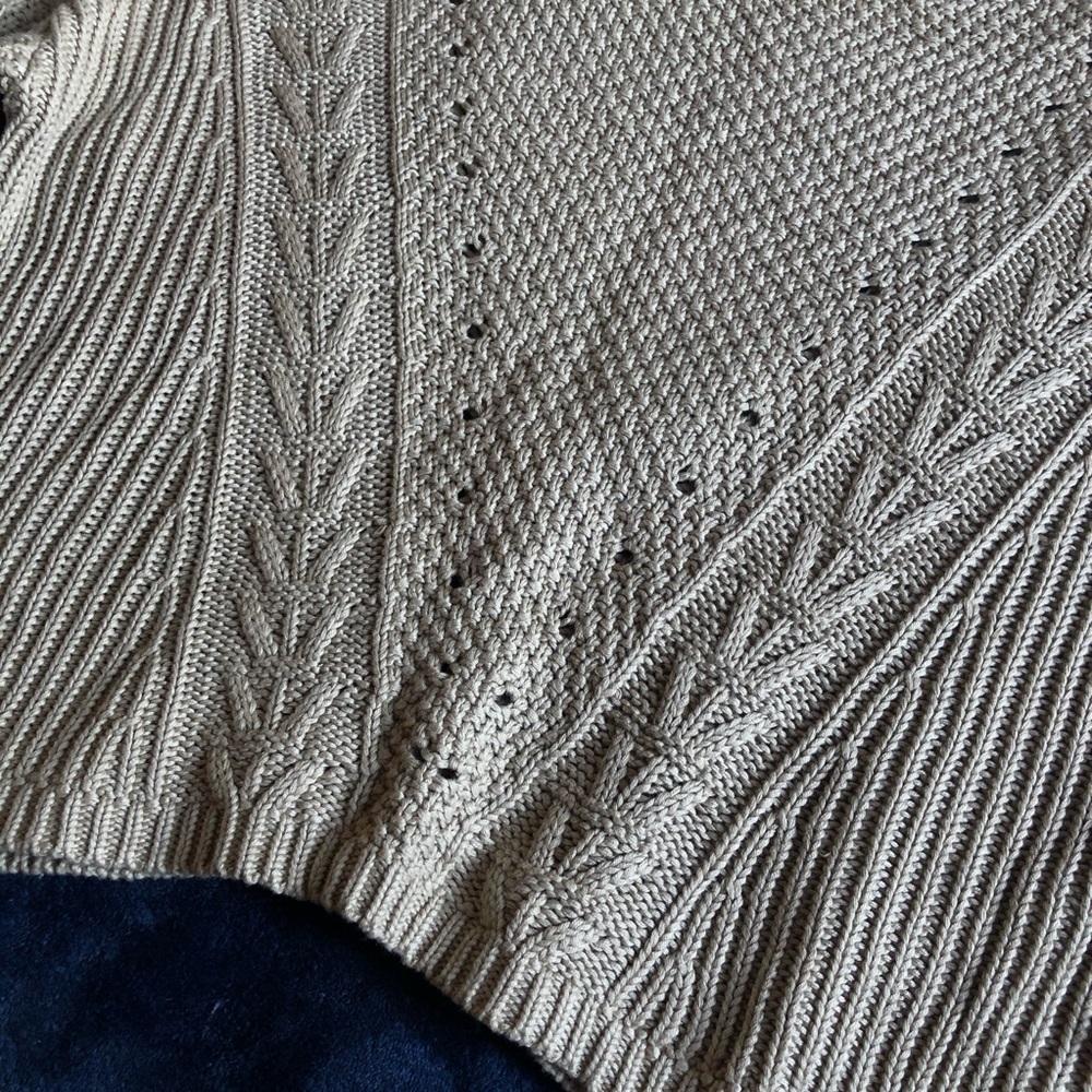 F21 Oatmeal Cropped Ribbed Cable Knit Sweater - Picture 3 of 6